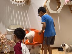 -1013 PET SHOP精品宠物商店(丁香店)