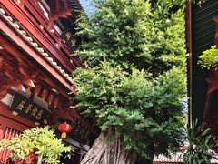 -叩齿古寺