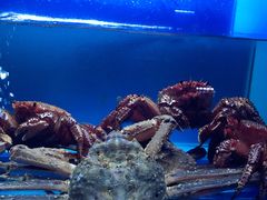 -月下料理(楷林IFC店)