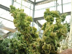 -华南国家植物园-售票处
