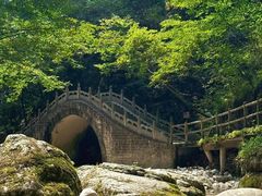 -牛背梁国家森林公园