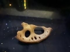 -皇子派对(同泰时代广场店)