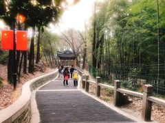 -灵岩山风景区