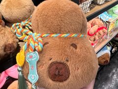 -酷乐潮玩(颛桥万达店)