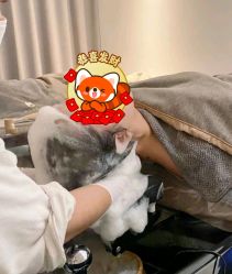 -Bollins波林丝•专研护发中心