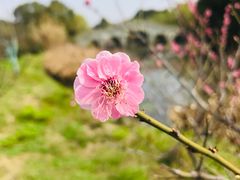 -韩湘水博园