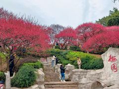 -重庆彩云湖湿地公园