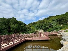 -北京西山国家森林公园