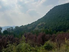 -四门塔风景区