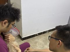 -美联众合动物医院·24h转诊中心