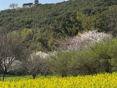-苏州上方山国家森林公园