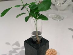 -姚江春中餐厅·太平洋大酒店