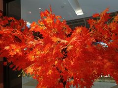 -老湘亲·品鉴湘菜(蔡塘爱琴海店)