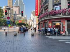 -真老大房鲜肉月饼(南京路步行街店)