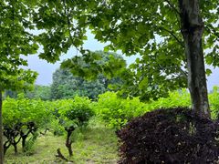 -凤凰沟景区