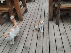 -龙达温泉生态城