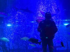 -沈阳海洋探索中心