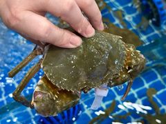 -木木鲜海鲜面(天一店)