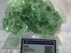 -中国地质大学逸夫博物馆