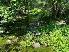 -玉渡山自然风景区