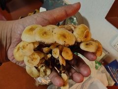 -北京宽沟会议中心