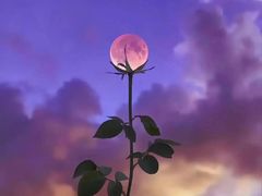 -上海市公安局徐汇区出入境管理局