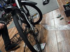 -道路口单车爱瓦士dahon大行