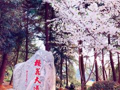 -武汉大学-樱园