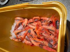 -杭州开元名都大酒店·地中海自助餐厅