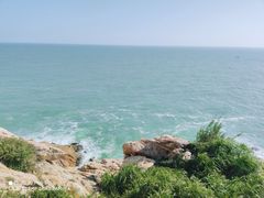 -广东惠东海龟国家级自然保护区