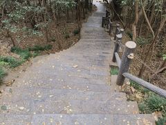 -紫金山山顶公园