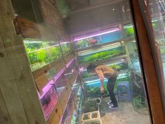 -大自然花鸟鱼虫市场