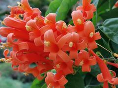 -陈李济中药博物馆