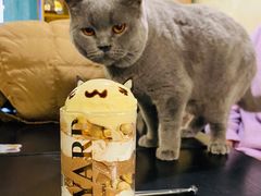 -猫小院猫主题咖啡厅(北锣店)