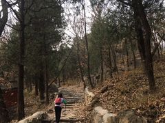 -阳台山自然风景区