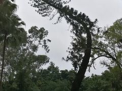 -南宁南湖公园