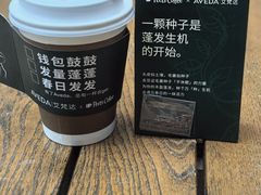 -Peet's 皮爷咖啡(陆家嘴中心店)