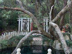 -蝴蝶泉公园