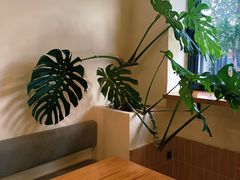 -小意思咖啡店(草桥店)