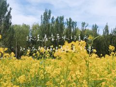 -长白岛森林公园