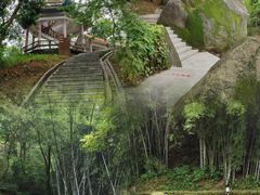 -天鹿湖森林公园