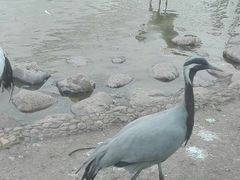 -长春公园(普阳街道)