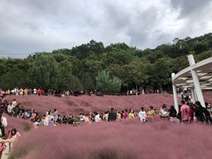-牛岗山公园