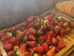 -牛YO寿喜烧和牛火锅自助(三台子万象汇店)
