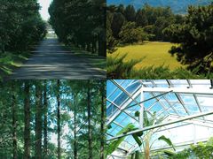 -国家植物园南园