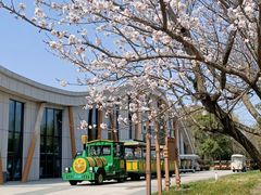 -同里国家湿地公园