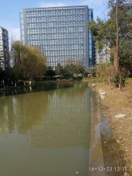 点击看大图 -侨治发型