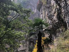 -鹿院坪生态旅游景区