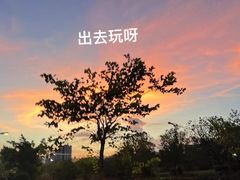-水西公园