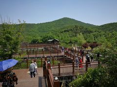-石塘人家